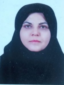 نرخ خوراک پتروشیمی ها