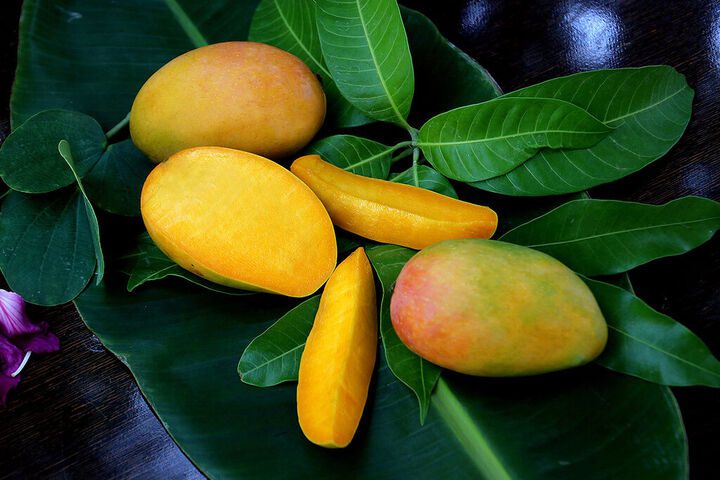 واردات انبه